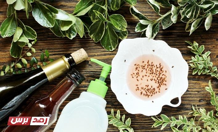 التخلص من الذباب التخلص من الذباب, ذباب, ناموس كيفية التخلص من الذباب في المنزل بطرق سهلة و فعالة التخلص من الذباب التخلص من الذباب, ذباب, ناموس كيفية التخلص من الذباب في المنزل بطرق سهلة و فعالة
