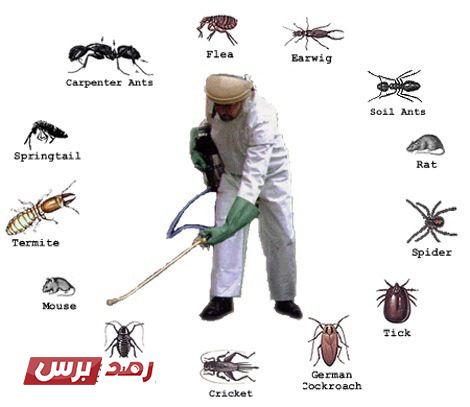 افضل طرق ابادة الحشرات المنزلية