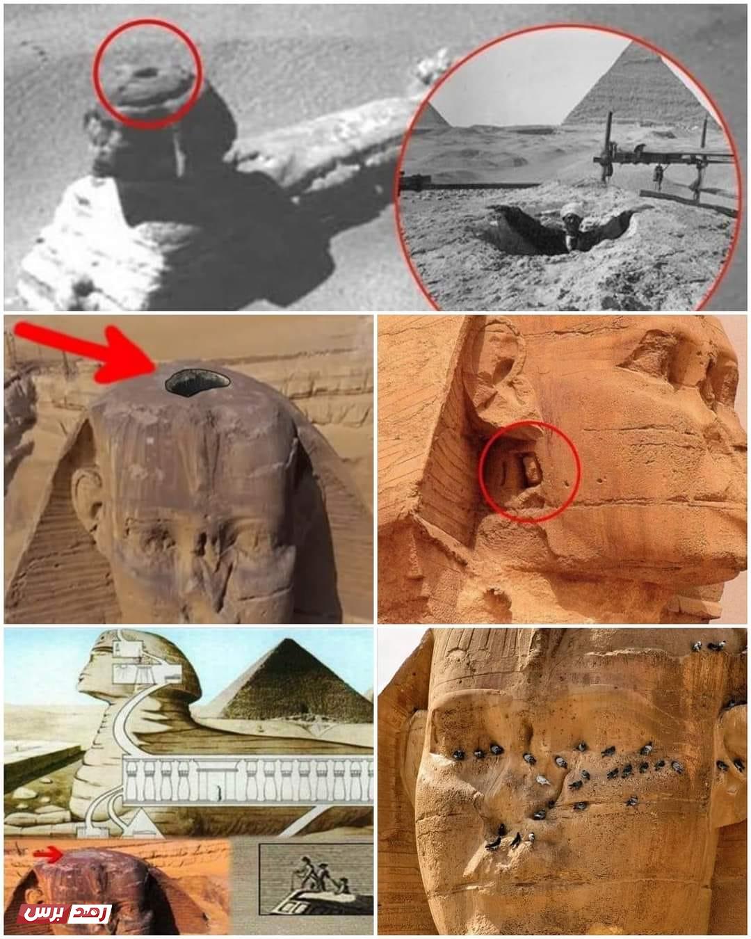 تمثال ابو الهول مدينة الفاحشة مدينة الزنا الإيطالية التي اختفت في ظروف غامضة تمثال ابو الهول مدينة الفاحشة مدينة الزنا الإيطالية التي اختفت في ظروف غامضة